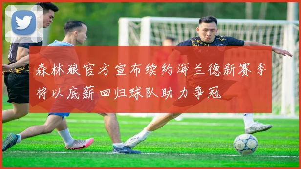 森林狼官方宣布续约海兰德新赛季将以底薪回归球队助力争冠